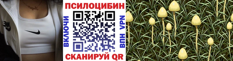 Купить закладки  Сорск  Галлюциногенные грибы мухоморы 